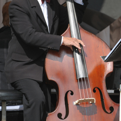 contrabass