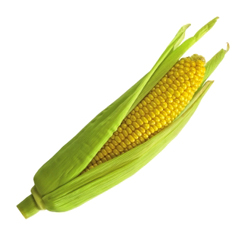 corn