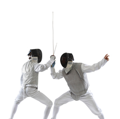 fencing