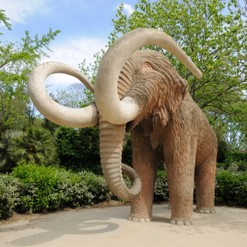 mammoth