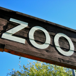 zoo