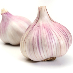Knoblauch