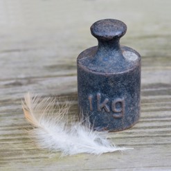 kilogram
