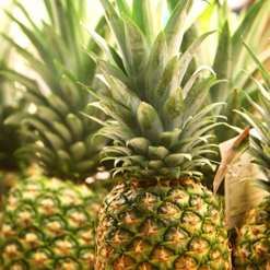 ananas